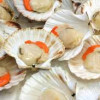 Go and get Shucked – in Rye Bay…